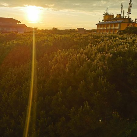 Hotel Pine Beach Rosolina Mare Dış mekan fotoğraf